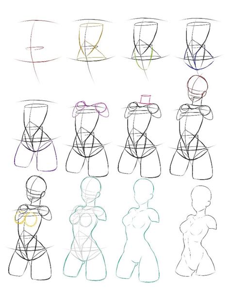 Torso Tutorial Human Body Drawing Body Drawing Tutorial Body Type Drawing