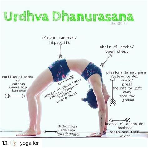 Dhanurasana And Chakrasana Yoga For Strength And Health From Within