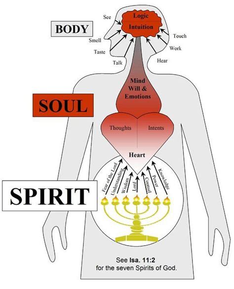 Who Are The 7 Spirits Of God Bible Knowledge Bible Teachings