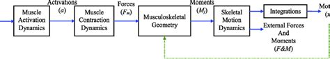 Different Methods In Optimal Control Theory Download Scientific Diagram