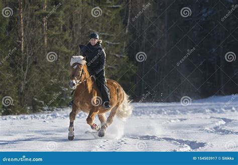 Woman Horseback Riding in Winter Stock Image - Image of event, dusk: 154503917