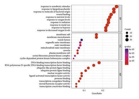 Go And Kegg Enrichment Analysis Of The Key Targets For Mbtwd Against