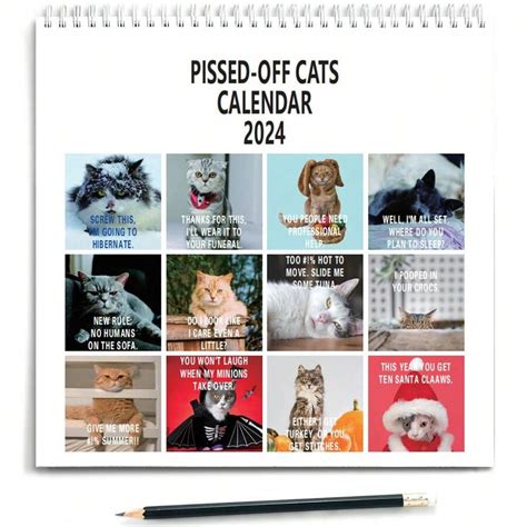 Pissed Off Cats Calendar Funny Sassy Holiday Gift For Cat