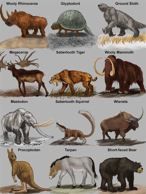 The 25+ best Extinct animals ideas on Pinterest | Extinct, Prehistoric ...