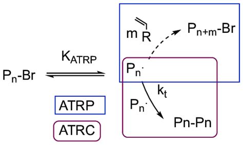 Scheme 1 Similarity Of ATRP Mechanism And ATRC Mechanism With The