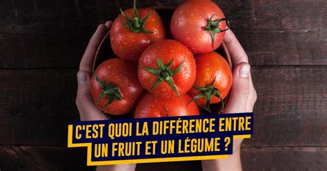 Top 10 des réponses aux grandes questions quon se pose sur la bouffe