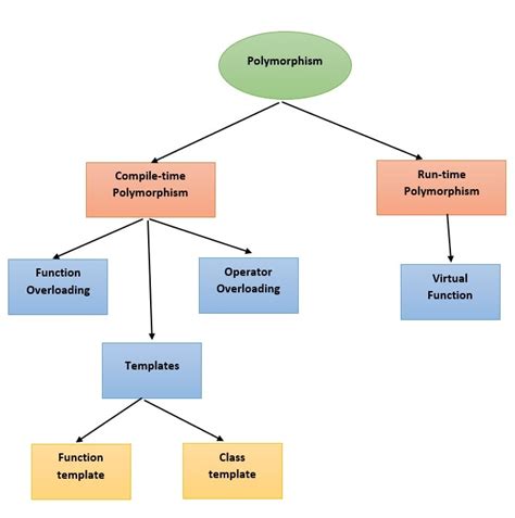 What Are The Different Types Of Polymorphism In C