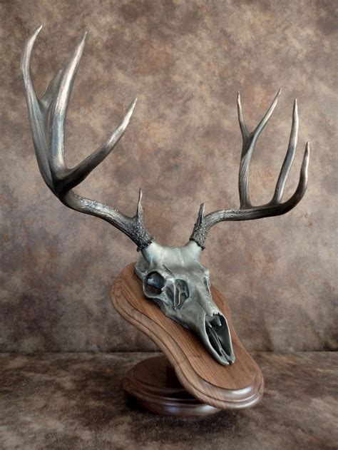 18 Best European Mounts And More Images On Pinterest Antler Art