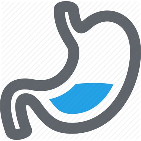 Stomach Icon #399163 - Free Icons Library