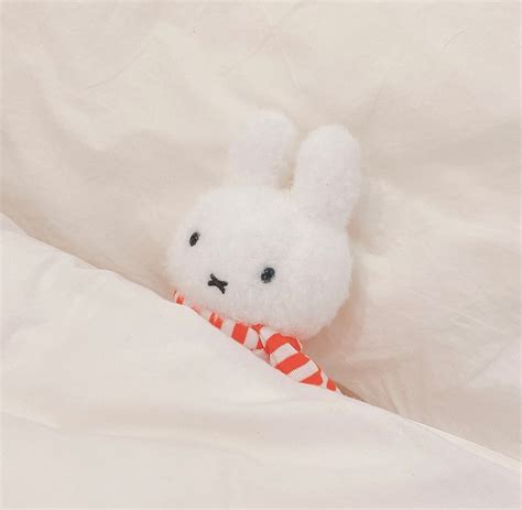 Miffy On Twitter Snuggled Up With Miffy 🥰 📷 Instagram User Nmnmmiffy