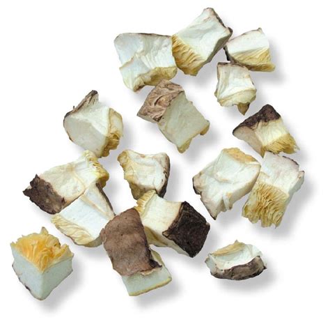 lentinula edodes,China Yingbiao price supplier - 21food