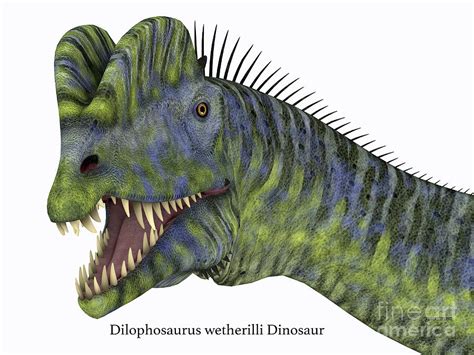 Dilophosaurus Dinosaur Head With Font Digital Art By Corey Ford