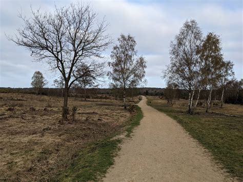 Chobham Common North Circular Walk - 4.3km - Surrey Walks