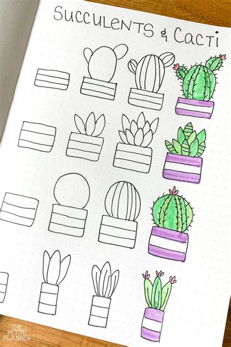 How To Draw A Cactus Easy For Beginners / We prefer fresh flowers in pots. - padtaees