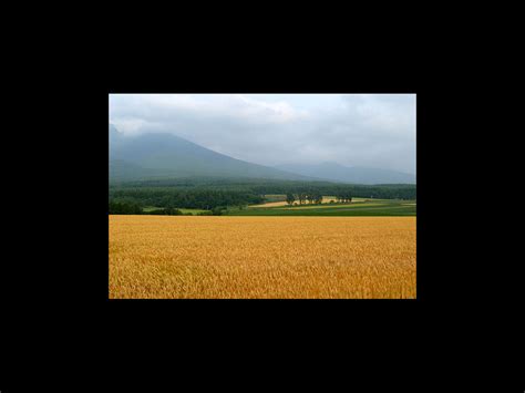 気ままに撮り歩き館 壁紙のページ いつまでも残したい 美しい日本の風景壁紙のページ