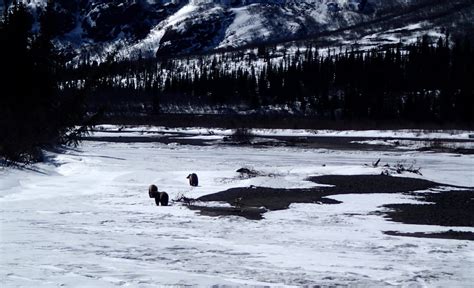 George Parks Highway | Natural landmarks, Alaska, Landmarks