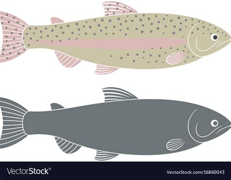 Rainbow trout Royalty Free Vector Image - VectorStock