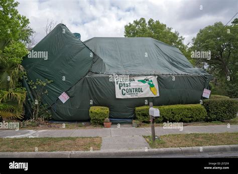 Tent fumigation of home Stock Photo - Alamy