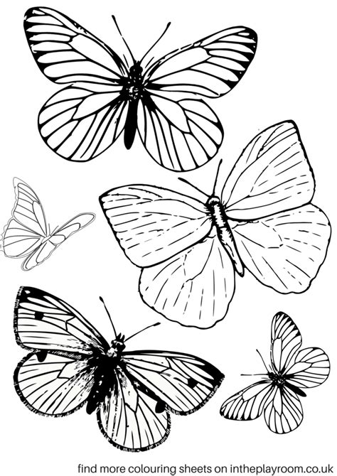 Free Printable Butterfly Colouring Pages In The Playroom