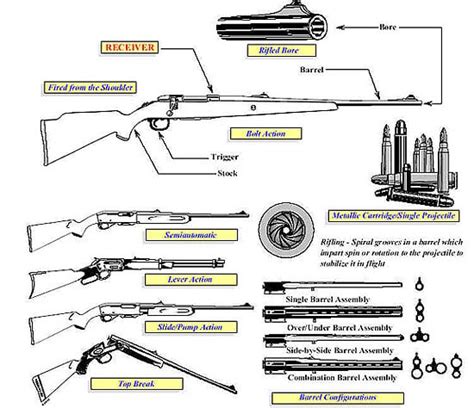 Types Of Guns Top 3 You Need To Know Pew Pew Tactical