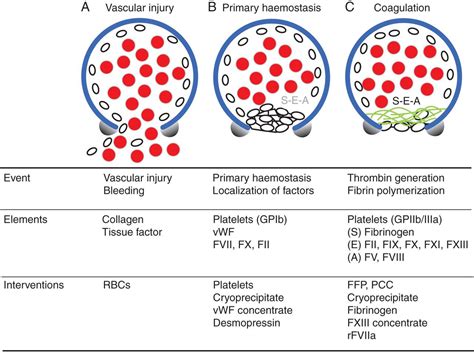 Perioperative Factor Concentrate Therapy British Journal Of Anaesthesia