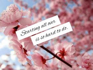 Japanese Cherry Blossom Quotes. QuotesGram