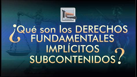 Derechos Fundamentales Implícitos Subcontenidos TTR 267 YouTube