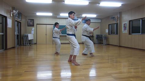 Training in Japan – Dojo News