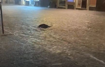 Inondazione A Catania Cassonetti Di Rifiuti Trascinati Per Le Strade VIDEO