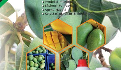 Modul Budidaya Jeruk Keprok Citrus Reticulata Jeruk Siam Citrus