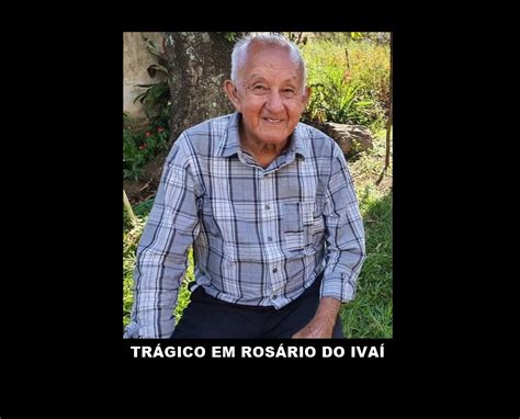 Tragédia Idoso de 87 anos morre após ataque de abelhas TA1