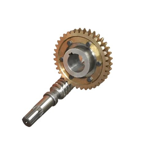 Custom Worm Gears Shaft Small Stainless Steel Worm Wheel Gear