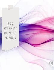 Comprehensive Guide To Risk Assessment And Safety Planning Course Hero