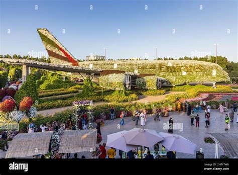 A Flower Covered Emirates Airbus A380 At The Dubai Miracle Garden