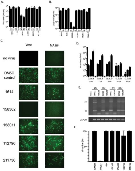 Veroe6 A Or Ma104 B Cells Were Treated With 50 Um Of Each Compound Download Scientific