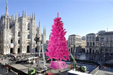 Torna l Albero di Natale in Duomo ecco le novità 2022