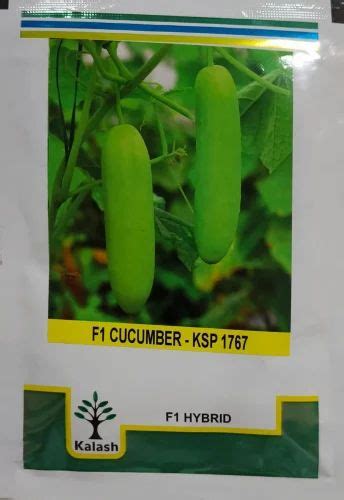 Green Kalash KSP 1767 F1 Hybrid Cucumber Seeds Packaging Type Packet