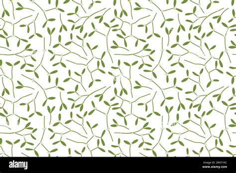 Christmas Seamless Pattern With Mistletoe Branches Vector Illustration