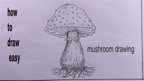 How To Draw Mushroom Step By Step Mushroom Drawing YouTube