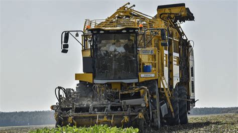 KOPANIE BURAKÓW 2023 Z FIRMĄ DUBAS DZIEŃ I NOC 7R PRZY ZACHODZIE SŁOŃCA