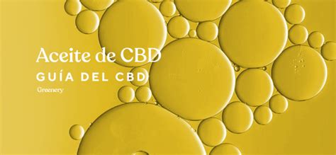 Aceite De Cbd ¿cómo Usarlo Guía Para Principiantes