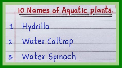 10 Names Of Aquatic Plants In English Aquatic Plants Name Water