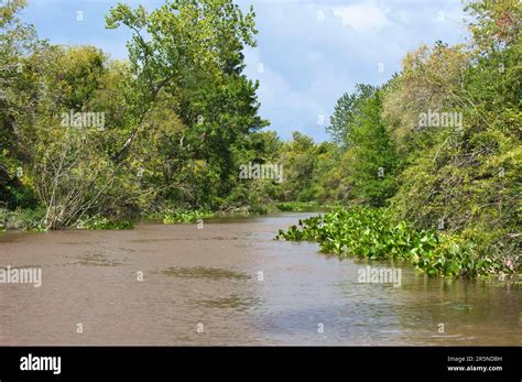 Canal Parana Delta Tigre Buenos Aires Argentina Stock Photo Alamy