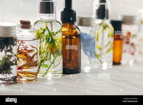 Transparent Bottles Of Essential Oil With Fresh Herbs And Flowers