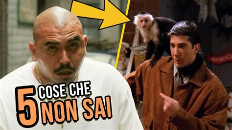 Marcel La Scimmia Di Ross Da Friends A Una Settimana Da Dio Cose