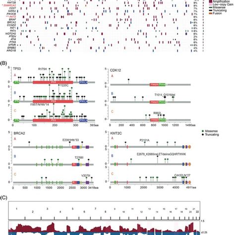 Mutation Characterization Among Three Groups A The Oncoprint Plot Download Scientific