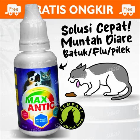 Jual Max Antic Obat Antibiotic Antibiotik Kucing Anjing Cat Kitten