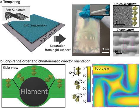 Tessellation Of Chiral‐nematic Cellulose Nanocrystal Films By