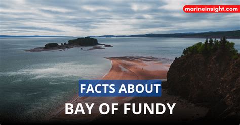 11 Facts About The Bay Of Fundy