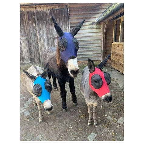 Donkey Pull On Fly Mask With Ears Donkey From Ruggles Horse Rugs Uk